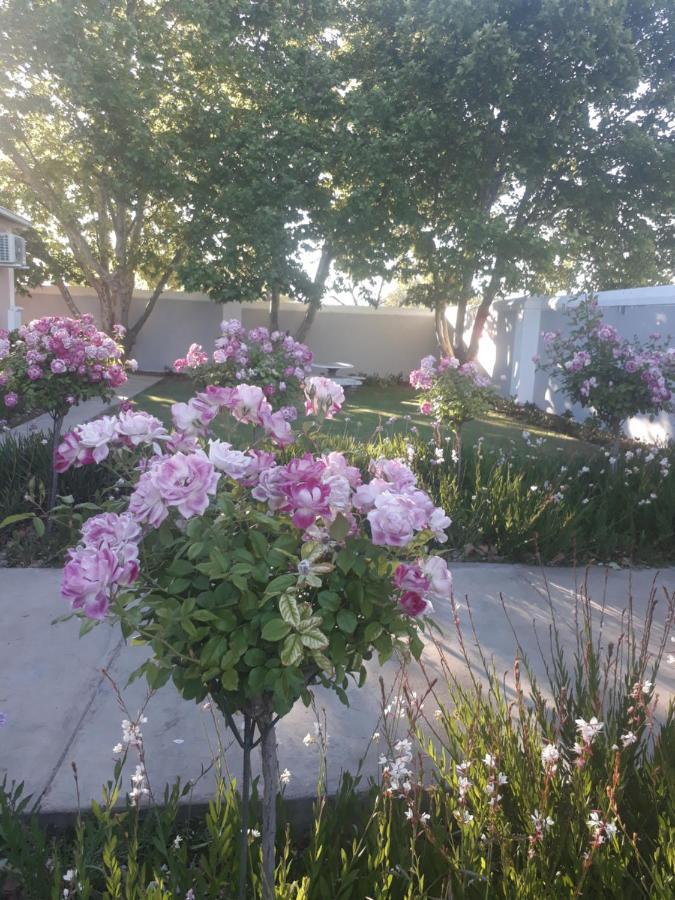 Apartamento The Fancy Cactus Colesberg Exterior foto