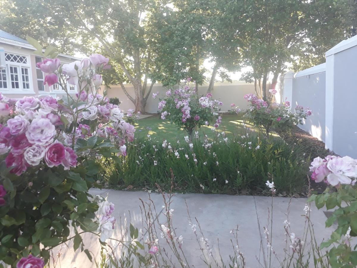 Apartamento The Fancy Cactus Colesberg Exterior foto